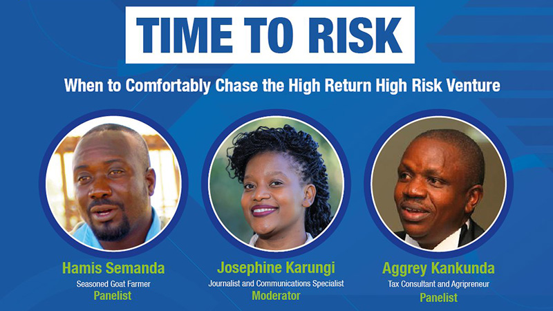 Time to Risk - When to comfortably chase the high return high risk venture